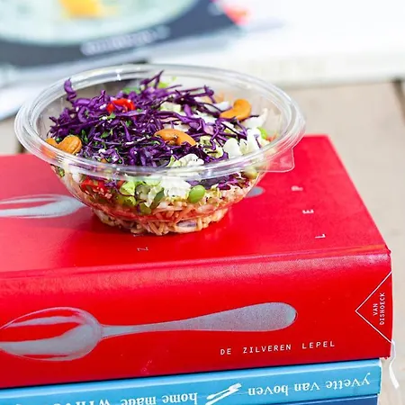 Ramada By Wyndham Amsterdam Airport Schiphol 4* Badhoevedorp